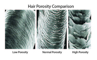 Getting To Know Your Hair–Understanding Porosity | Nadia's Notes